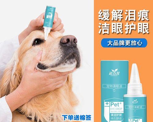 如何给比熊狗狗点眼药水（宠物护理技巧，点眼药水的正确方法）