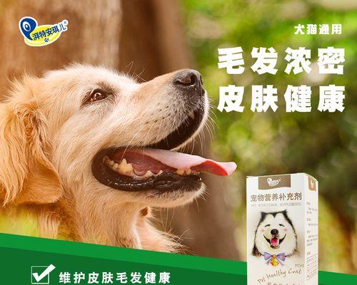 狗狗吃海藻粉的好处（探究海藻粉对宠物狗身体的益处）