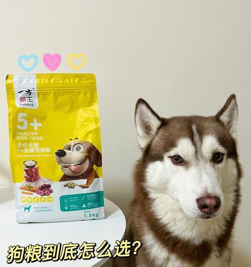 选择麦顿狗粮，给狗狗健康美味的选择（以宠物为主，了解麦顿狗粮，让宠物生活更美好）