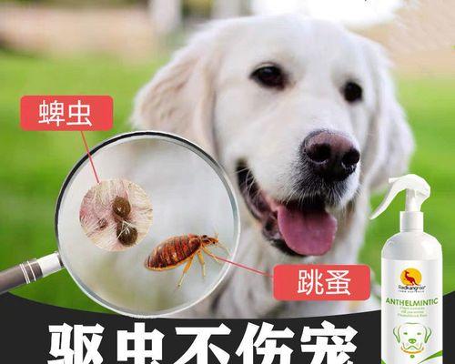 如何正确给宠物狗进行体外驱虫？（小心驱虫药物的副作用，正确方法让狗狗健康无虫）