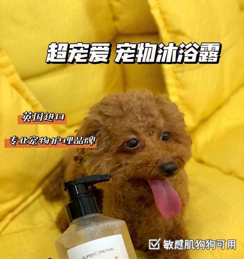 如何为宠物狗选择合适的沐浴露？（探究不同类型狗狗的沐浴需求，以及应选用的沐浴露。）