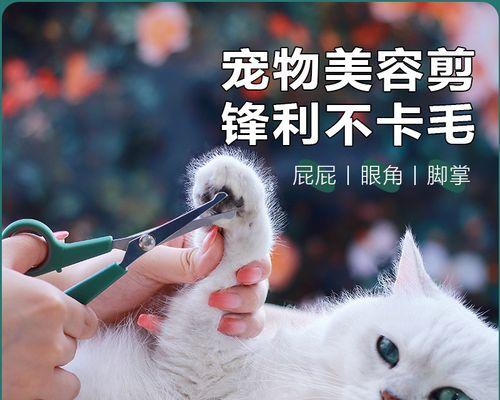 狗狗毛发修剪技巧（宠物美容师教你如何修剪狗狗毛发）