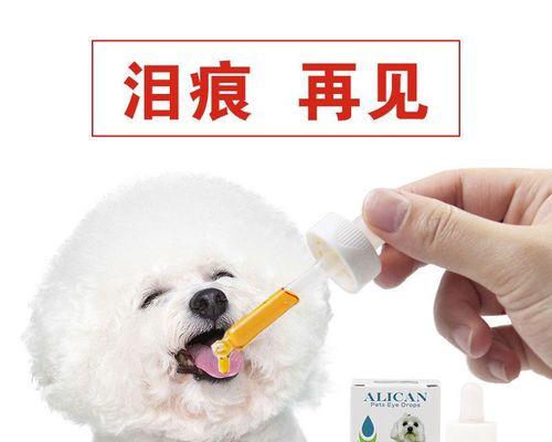 解读狗狗泪痕的成因（探究泪痕的危害与应对之策）