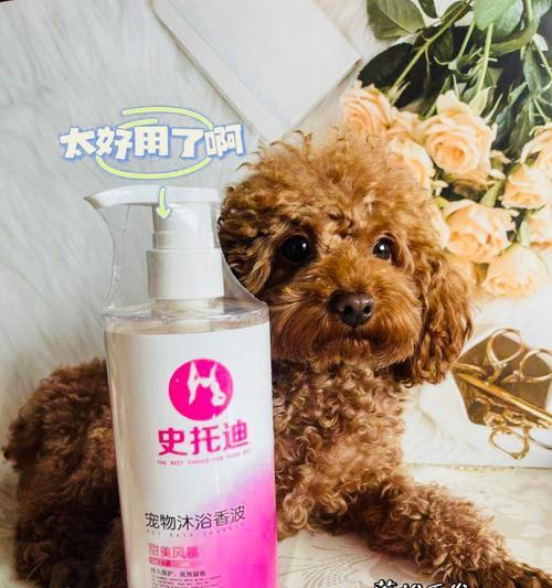 狗狗洗澡清洁要慎重（爱宠的清洁需谨慎，预防后顾之忧）