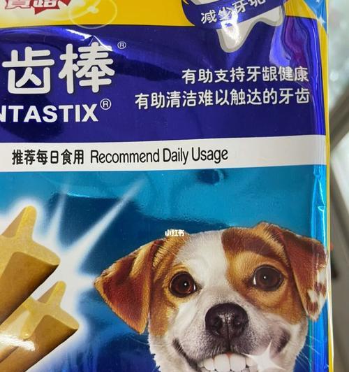 狗狗的牙齿保健指南（养宠物必知的15个护牙要点）