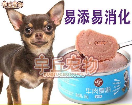 探究吉娃娃的饮食需求和健康问题（探究吉娃娃的饮食需求和健康问题）
