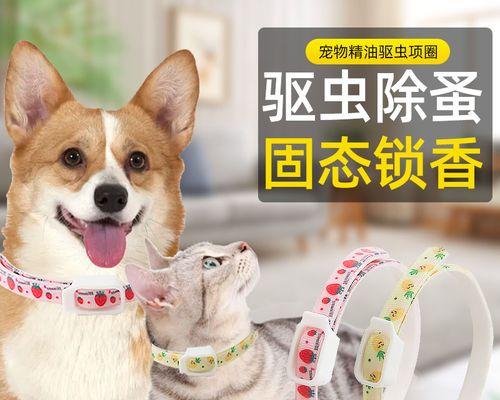 宠物驱除跳蚤大作战（教你15个招数让宠物告别跳蚤）