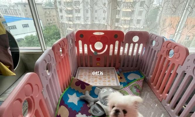 京巴身上有臭味是什么原因？（探究京巴身上臭味的成因及解决方法）