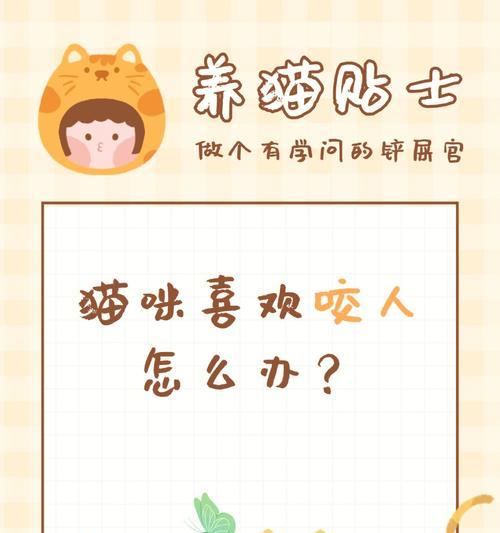 如何解决卷毛巡回犬咬人问题（宠物培训技巧分享，让狗狗不再咬人）