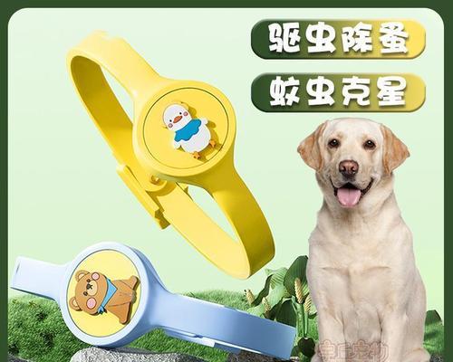 如何有效去除拉布拉多身上的虱子？（宠物爱好者必看！教你如何保护你的宠物不被虱子侵扰）
