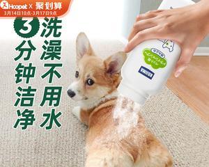 如何选择适合猫咪的沐浴露？（宠物护理必备，让猫咪洗澡更舒适）
