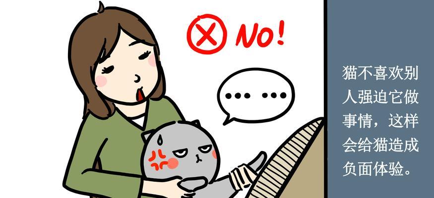 如何应对家里捣乱的宠物猫？（掌握正确方法，让猫咪不再捣乱搞破坏）