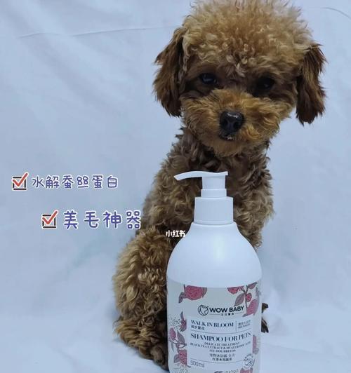 毛发干枯的狗狗（了解问题根源，轻松解决宠物干毛难题）