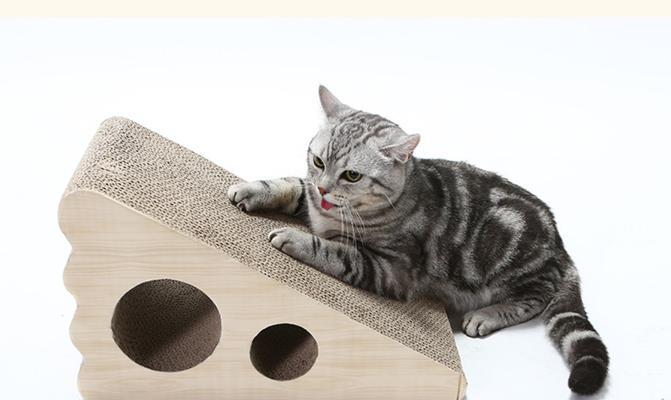 猫咪为什么需要磨爪子？（揭秘猫咪磨爪的奥秘，这是为了他们的什么？）