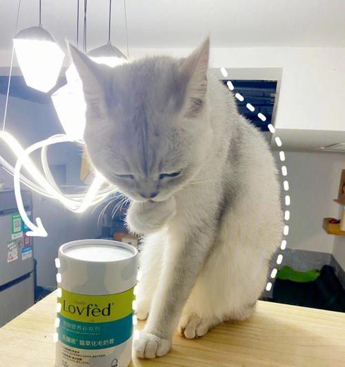 猫咪毛球问题，如何预防和处理？（宠物猫咪的健康不容忽视，毛球问题需及时解决）
