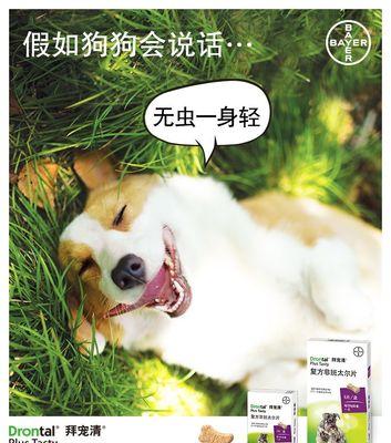 驱除狗体内寄生虫，保护宠物健康（常用药品及使用方法，预防寄生虫感染）