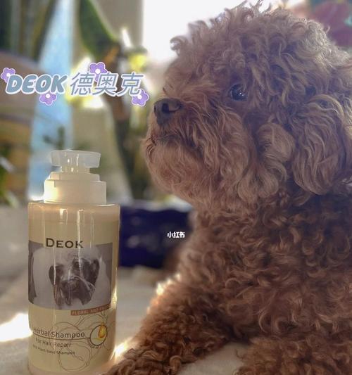 15个小妙招，让你的狗狗毛发更加亮丽（15个小妙招，让你的狗狗毛发更加亮丽）