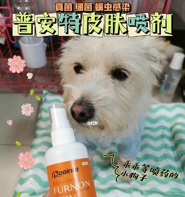 如何正确给有皮肤病的狗狗洗澡（宠物护理技巧，让它的肌肤健康亮丽）