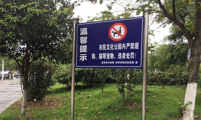 让你的比特犬改掉四大恶习（宠物之友们必看！教你摆脱比特犬的四大毛病）