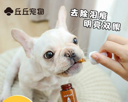 解决狗狗泪痕多的问题（从宠物健康出发，多角度寻求解决方案）
