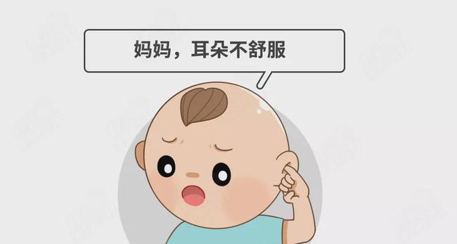 预防治疗博美犬脑膜炎必知（保护宠物健康，预防博美犬脑膜炎）