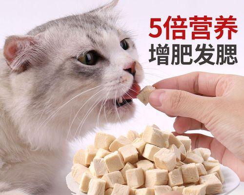小猫的饮食习惯及如何给其添加鸡肉