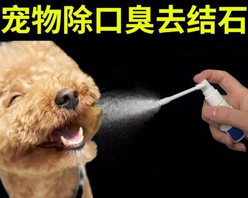 狗狗口臭的原因及解决方法（宠物狗口臭成因分析，让你的爱犬远离口臭）