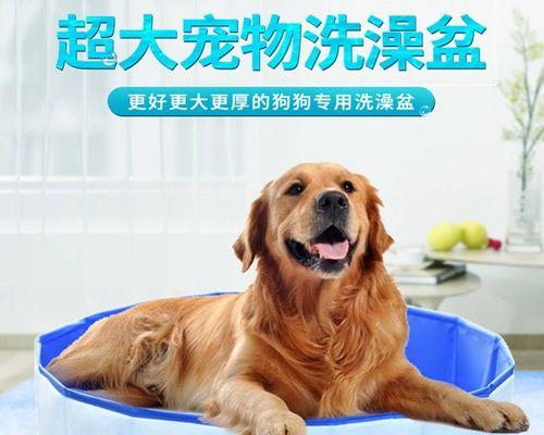 洗澡让宠物更清新舒适（为什么狗狗需要洗澡？如何正确给狗狗洗澡？）