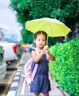 下雨天可以带银狐犬散步吗？（关于宠物狗在雨天散步的注意事项及建议）