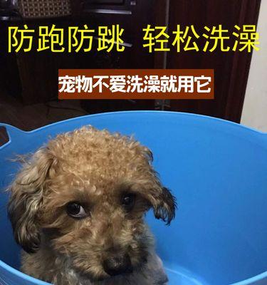 夏季宠物狗洗澡时间长短的注意事项（狗狗夏天洗澡的频率和时间，避免过度洗澡）