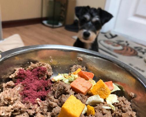 以雪纳瑞为主的宠物饮食习惯与注意事项（以人食为主的雪纳瑞饮食谨慎）