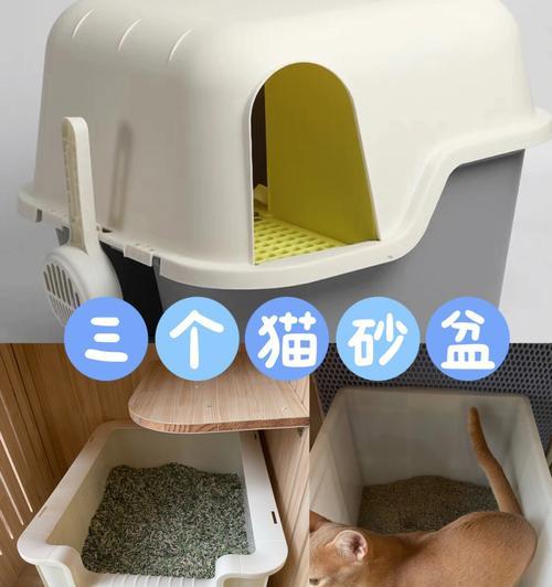 宠物猫的生活用品必备清单（打造舒适便捷的猫咪生活）