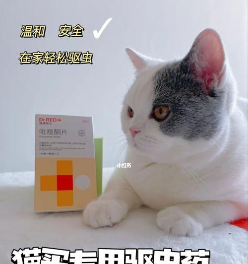 猫咪驱虫指南——宠物健康必知（养猫须知）
