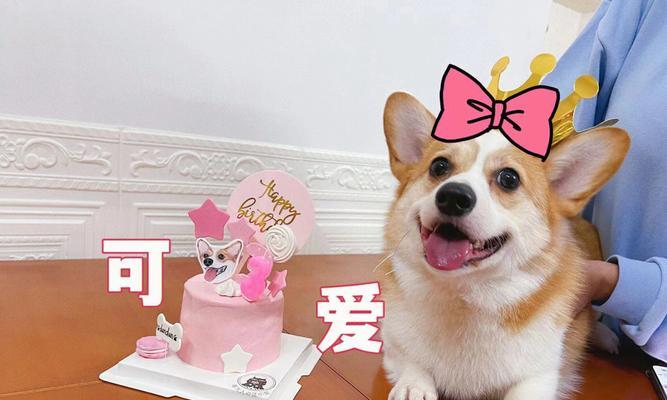 狗狗可以吃奶油蛋糕吗？（宠物主人必看！了解狗狗是否能够食用奶油蛋糕）