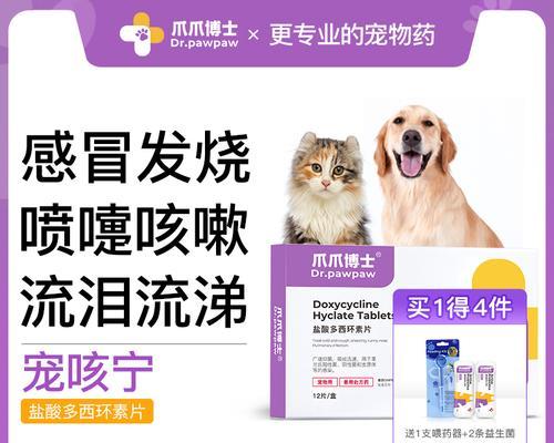 狗狗流鼻涕怎么办？（药物治疗是最佳选择！）