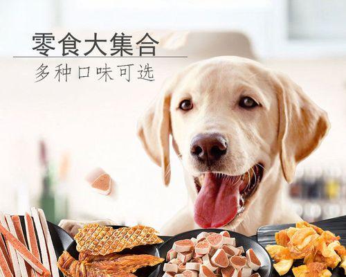 如何训练你的凯利蓝梗宠物？（从小训练，让你的狗狗成为好伙伴）