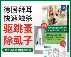 拉布拉多狗如何除狗虱子？（宠物主人必知的除虫妙招）