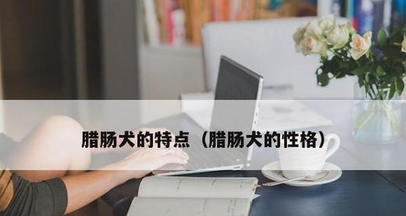 小心！腊肠犬肚胀的三大原因（探究腊肠犬肚胀的病因及预防方法）