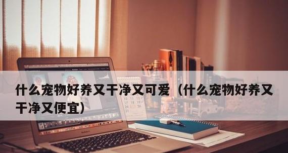 腊肠犬生病的治疗误区（以宠物为主，关注正确治疗）