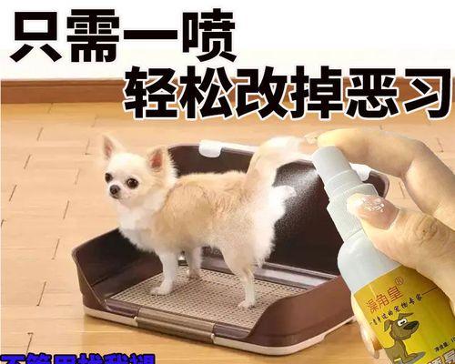 猫咪随地大小便问题的探讨（以宠物为主的责任意识教育与问题解决方案）