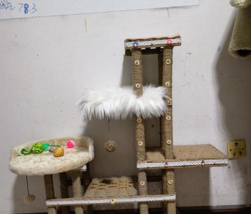 如何DIY制作一款猫爬架（打造最舒适的宠物天地，让猫咪们尽情玩耍）