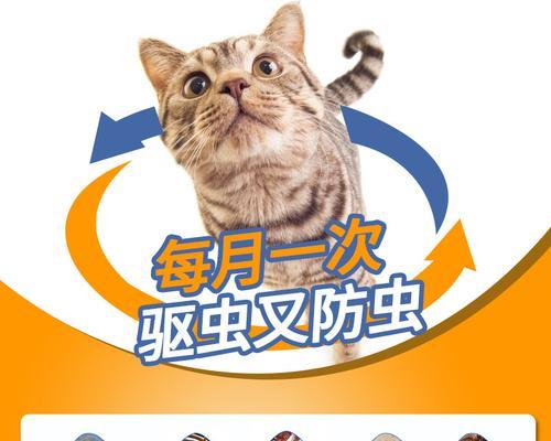 如何为你的宠物猫咪进行驱虫？（以平常日常为主，让你的猫咪远离虫害）