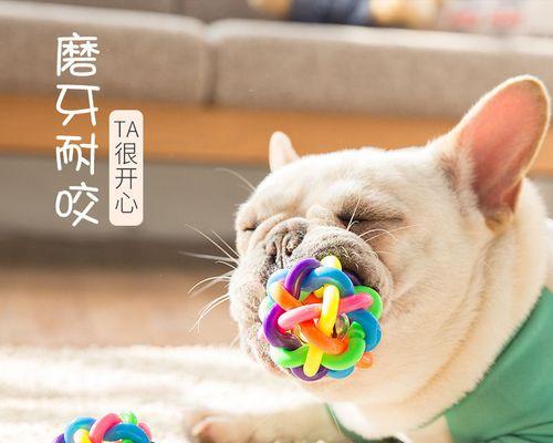 如何让宠物狗狗磨牙？（平常怎么给狗狗磨牙好？）