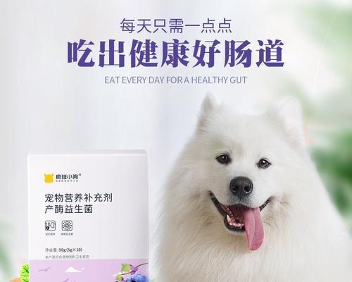 秋季狗狗肠胃保健指南（如何让你的宠物在秋季中健康成长）