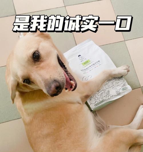 如何培养一只诚实的幼犬？（让宠物成为家庭的好伙伴，以信任为基础）