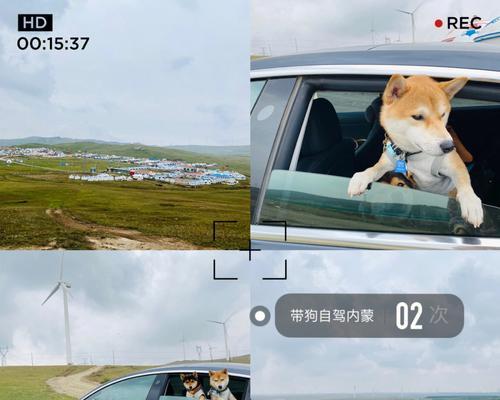 狗狗自驾游攻略（宠物为伴，畅游天下）