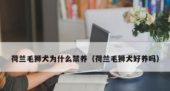 从“结”到“解”——如何为宠物凯利蓝解决结问题（宠物凯利蓝遇到结困扰？这些方法帮你解决！）