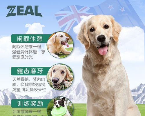 喂狗狗肉干的好处（为你的爱犬带来健康和快乐）
