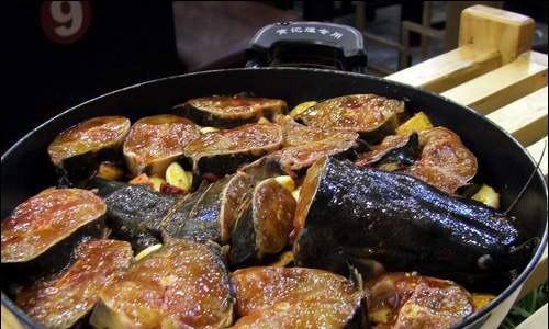 如何让宠物喜乐蒂增肥？（提高食欲，增加营养，让宠物健康成长）