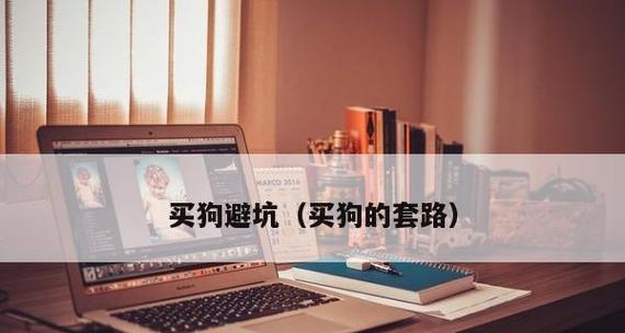 宠物喜乐蒂的咬癖：如何解决？